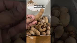 മധുര  പുളി sweet tamarind