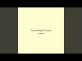Forest Mystic Pulse