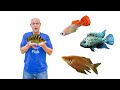 21 Species of Aquarium FISH - Warehouse TOUR!