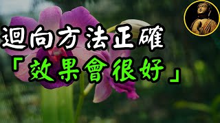 【佛法無邊】迴向方法正確「效果會很好」