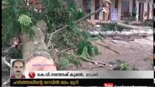 Shade Trees are cutting down during hartal at Kattappana