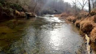 Chasing Winter Brown Trout January 2025