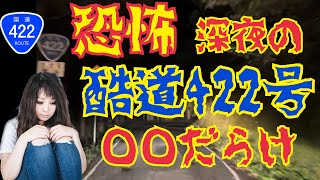 【恐怖】深夜の酷道422号は◯◯だらけ