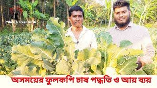 অসময়ের ফুলকপি চাষ কিভাবে করবেন এবং কেমন লাভবান হওয়া সম্ভব কি বললেন কৃষক ভাই। #White\u0026GreenGarden