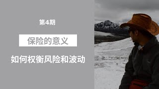 [004] 保险的意义：如何权衡风险与波动