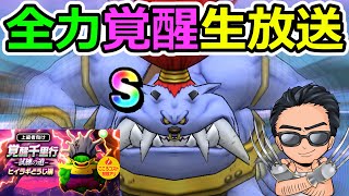 【ドラクエウォーク】ヒイラギどうじ全速覚醒生放送だけど本命はモヒカントS！！！