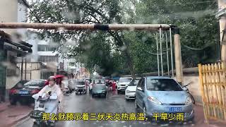 夏至，阜城这场雨下的有讲究