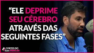 OS EFEITOS QUE A BEBIDA ALCOÓLICA CAUSA NO SEU CÉREBRO | Cortes do Sem Groselha