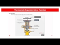 Danfoss Learning | Thermostatic Expansion Valves | Introduction & Portfolio | eLesson preview | Cool