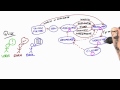 Which Stage? Solution - Software Debugging