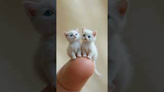 Tiny Wonders - Adorable White Kittens Perched on a Finger” 🐾  #shortvideo #funnyvideo #funny #short