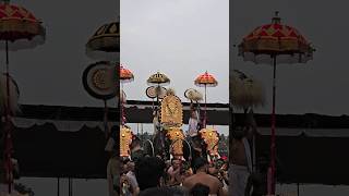 Thriprayar ekadashi 2024 #2024 #kerala #thrissur #shorts #aana