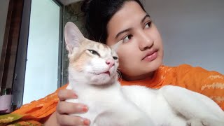 পুরুষ হিসেবে চাওয়া কি অপরাধ?  #viralvideo #funny #catlover #comedyfilms #funnycomedy