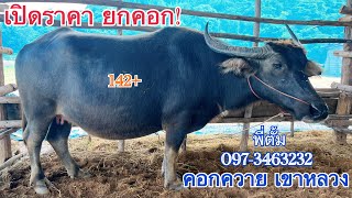 เปิดยกคอก! ลูกสาวปังแปดริ้ว สูง 144+ท้องสองกับป๋าเงินอุทัย ต.หนองหลวง อ.สว่างอารมณ์ จ.อุทัยธานี