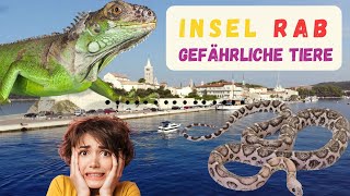 INSEL RAB - GEFÄHRLICHE TIERE! Die sollte man lieber nicht ärgern!