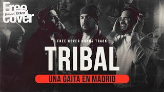 [Free Cover Bonus Track] Tribal - Una gaita en Madrid