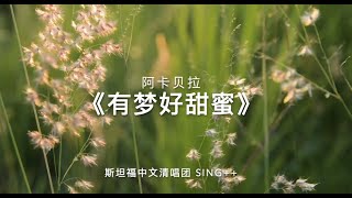 有梦好甜蜜 - 阿卡贝拉翻唱 Singplusplus 斯坦福大学中文清唱团 | Sweet Dream 我为歌狂主题曲 原唱胡彦斌