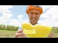 blippi learns healthy eating for kids at tanaka farm educational videos for toddlers