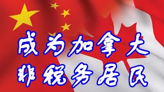 成為加拿大非税居民【稅務專家】