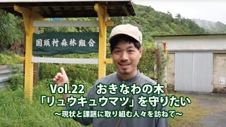 Vol.22【おきなわの木】リュウキュウマツを守りたい 〜現状と課題に取り組む人々を訪ねて〜