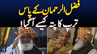 How Fazlur Rehman wields decisive power in Senate and National Assembly