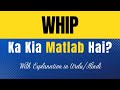 Whip Meaning in Urdu |'Whip Ka Kia Matlab Hota Hai'| Urdu/Hindi Explanation Included