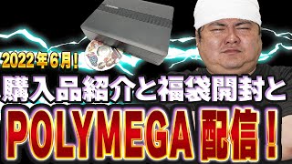 [POLYMEGA]6月に購入したゲームの紹介とPOLYMEGAでゲームプレイをしていく雑談配信