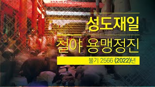 성도재일 철야 용맹정진 (1월9일 21시) #부처님이_깨달음을_얻은날