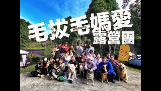 親子露營 全體Coleman帳篷 Ep4 毛拔毛媽「新竹五峰 | 賓狗窩露營區」超快速搭建 Vlog_ Hygge style \u0026 Simplicity pleasure of camping fun