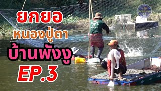 ยกยอ หว่านแหจับปลาบัตรราคา 900 บาท บ้านพังงู หนองหานอุดรธานี EP.3