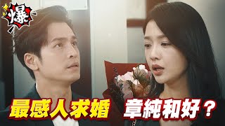 《多情大爆爆》多情城市 EP439 最感人求婚 章純和好？