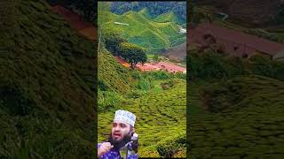 Malaysia Cameron Highland #shorts #viral