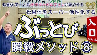 松果体の第一人者ドクタードルフィンが紹介する、松果体をスーパー活性化する ぶっとび 瞬殺メソッド⑧ [ドクタードルフィン 松久 正 公式チャンネル]