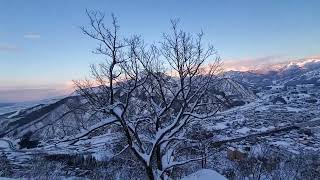 2022年1月3日 #湯沢高原 #スノーボード #下山 🏔☃️❄♨