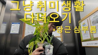 퇴근 후 클라이밍과 당근 심부름 일상브이로그vlog