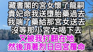 藏書閣的宮女懷了龍嗣，貴妃命我送墮胎藥過去，我端了藥給那宮女送去，沒等那小宮女喝下去，又被我打翻在地，然後頂著烈日回宮覆命