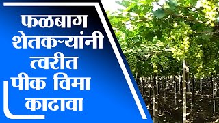 Pune | फळबाग शेतकऱ्यांना इंदापूर कृषी विभागाकडून अंतिम मुदतीपूर्वी विमा काढण्याचे आवाहन – tv9