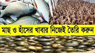 মাছ ও হাঁসের জন্য পুকুরে শামুক চাষ পদ্ধতি || Snail Farming in Bangladesh || Farming House BD