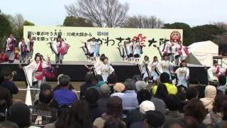 2012年川崎楽大師厄除けよさこい　早稲田大学よさこいチーム東京花火さん