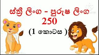 ස්ත්‍රී ලිංග - පුරුෂ ලිංග 250 (1 කොටස )@rangikp