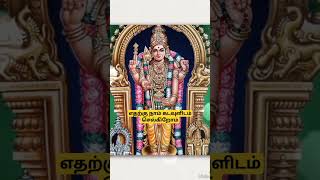 உண்மையான பக்தன் இறைவனிடம் எதையும் கேட்கமாட்டான் #murugan