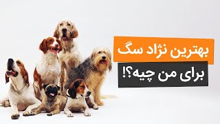 چگونه نژاد سگ رو انتخاب کنیم؟