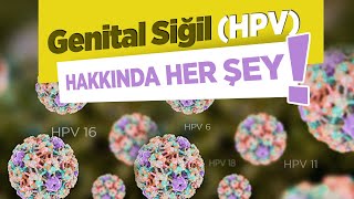 HPV Virüsü Nedir? Genital Siğiller Hakkında Bilmeniz Gerekenler - Prof. Dr. Gamze Sinem