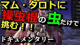 MHW】マム・タロトに操虫棍の虫だけで挑む！ドキュメンタリー企画番組！！【モンハンワールド実況】