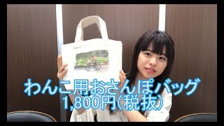 【柴犬まるグッズ】おさんぽに欠かせない！わんこ用おさんぽバッグ★