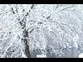 Simple Harmonic Motions in the Snow