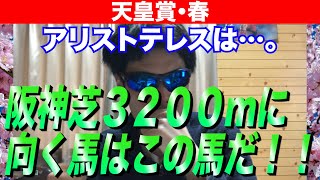 【天皇賞・春2021】阪神芝3200mに向く馬は、この馬だ！！アリストテレスは…。【競馬予想】