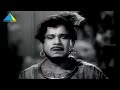 காஞ்சித்தலைவன் (1963)  Kaanchi Thalaivan Full Movie Tamil  M. G. Ramachandran  P. Bhanumathi