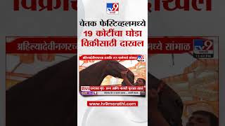 Nandurbar Breaking | नंदुरबारच्या सारंगखेडा चेतक फेस्टिव्हलमध्ये 19 कोटींचा घोडा विक्रीसाठी दाखल