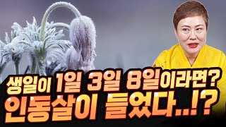 내 생일이 음력 1일 3일 8일이라면 주목! 모든 일이 안 풀리는 인동살! 인동살을 누르려면? [#천비궁] 강진점집